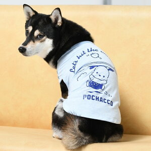 ySanrio TIz|`bRT[t@[y2@3@4z    hbOEFA