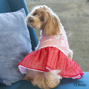 ySALEzyDisney fBYj[zMINhbg`[s[X    hbOEFA@L[g