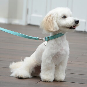 yDa Vinci _B`z[_XtXL[NX^J[y2.5 3 3.5z   Ck DOG  n[lX [h [V