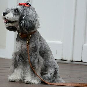 yDa Vinci _B`ziUI[Xgb`fUCJ[y2.5 3 3.5z   Ck DOG  n[lX [h [V