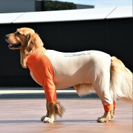【GEWALK ジウォーク】光電子　ロンパース　ラッシュガード　【XXL】犬 いぬ イヌ DOG 服 アウトドア　防…