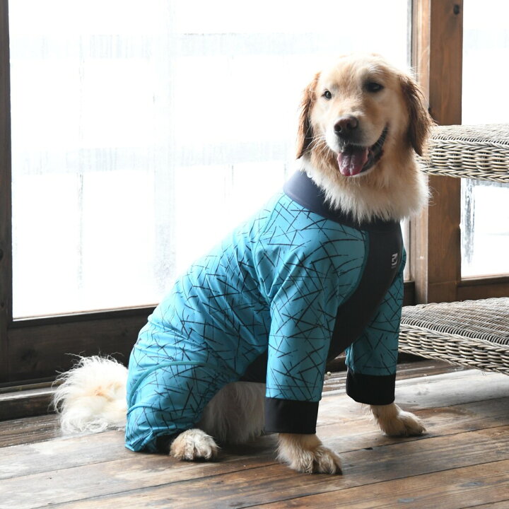 楽天市場 Gewalk プロテクト ストレッチ ロンパース ラッシュガード 3l 犬 いぬ イヌ Dog 服 アウトドア マリンウェア Petsrepublicファクトリーストア