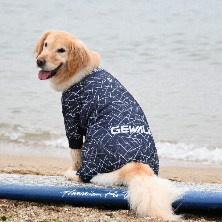 楽天市場 Gewalk プロテクト ストレッチ ロンパース ラッシュガード 3l 犬 いぬ イヌ Dog 服 アウトドア マリンウェア Petsrepublicファクトリーストア