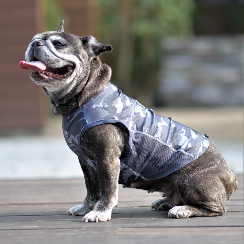 ペット服 犬 タンクトップ - 犬用ペット服の人気商品・通販・価格比較 