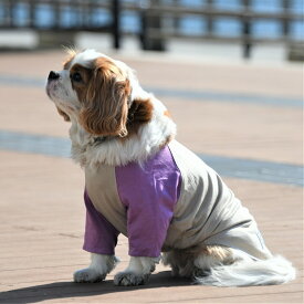 【MANHATTAN WALKY TIME!】 オーガニックコットンラグランTシャツ【XL】 犬 服 犬服 ドッグウェア