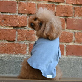 【MANHATTAN WALKY TIME!】 デニムTシャツ【S M】 犬 服 犬服 ドッグウェア