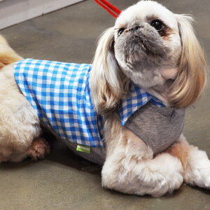 y70OFFzMK`FbNVcy2@3z    hbOEFA