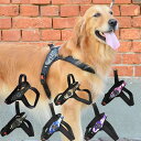 【TRE PONTI トレポンティ】プリモ カモフラージュ 犬 いぬ イヌ DOG 首輪 ハーネス リード リーシュ 国内正規輸入販…