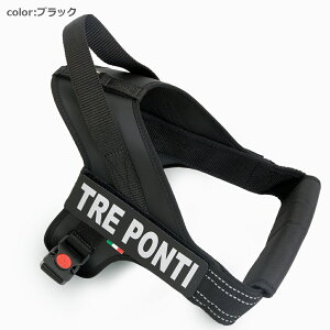 yTRE PONTI g|eBztbV C n[lX   Ck DOG  n[lX [h [V KA̔