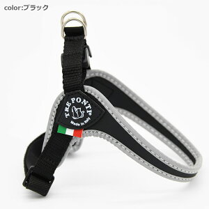 yTRE PONTI g|eBztBbrA AWX^u^Cv tNeBuy3.5z   Ck DOG  n[lX [h [V KA̔