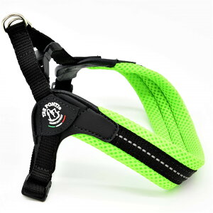 yTRE PONTI g|eBztBbrA AWX^u^Cv \tgbVy3 3.5z   Ck DOG  n[lX [h [V KA̔