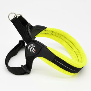 yTRE PONTI g|eBztBbrA AWX^u^Cv \tgbVy3 3.5z   Ck DOG  n[lX [h [V KA̔