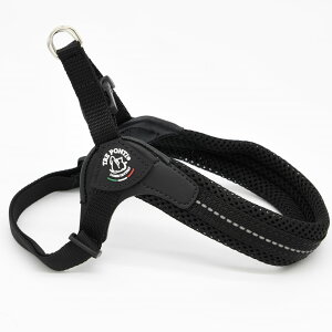 yTRE PONTI g|eBztBbrA AWX^u^Cv \tgbVy1 1.5z   Ck DOG  n[lX [h [V KA̔