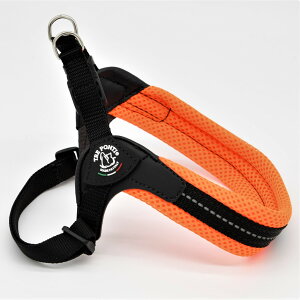 yTRE PONTI g|eBztBbrA AWX^u^Cv \tgbVy3 3.5z   Ck DOG  n[lX [h [V KA̔