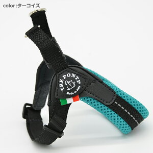 yTRE PONTI g|eBztBbrA AWX^u^Cv \tgbV pXey1 1.5z   Ck DOG  n[lX [h [V KA̔