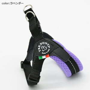 yTRE PONTI g|eBztBbrA AWX^u^Cv \tgbV pXey4z   Ck DOG  n[lX [h [V KA̔