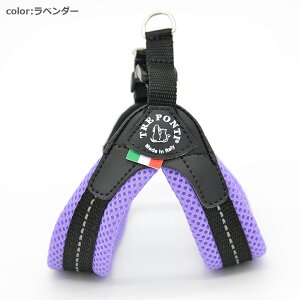 yTRE PONTI g|eBztBbrA \tgbV pXey1 1.5z   Ck DOG  n[lX [h [V KA̔