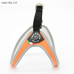 yTRE PONTI g|eBztBbrA tIy3z   Ck DOG  n[lX [h [V KA̔