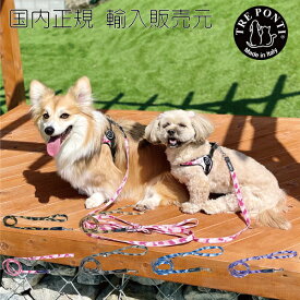 楽天市場 犬 リーシュの通販