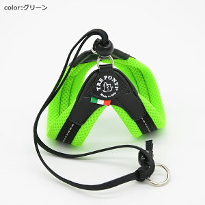 yTRE PONTI g|eBzx^ \tgbVy3z   Ck DOG  n[lX [h [V KA̔