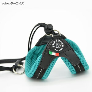 yTRE PONTI g|eBzx^ \tgbV pXey3z   Ck DOG  n[lX [h [V KA̔