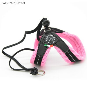 yTRE PONTI g|eBzx^ \tgbV pXey3z   Ck DOG  n[lX [h [V KA̔