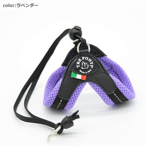 yTRE PONTI g|eBzx^ \tgbV pXey2 2.5z   Ck DOG  n[lX [h [V KA̔