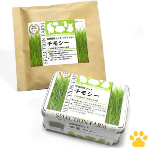 [Ki] C[X^[@ZNVt@[@q͔|Zbg@`V[@tBtq@{y{e@@bg@``@nX^[@H@@@