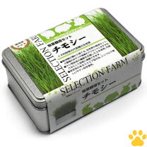 楽天市場】生牧草チモシーの通販