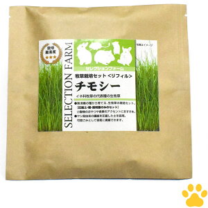 [ܖF2026/1/31] [Ki] C[X^[@ZNVt@[@q͔|Zbg tB@`V[q@{y@@bg@``@nX^[@H@@