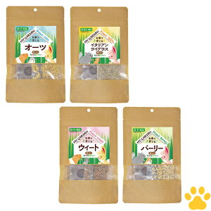 [4Zbg][Ki] C[X^[@}CK[f@q͔|Zbg@I[c / C^AOX / EB[g / o[[