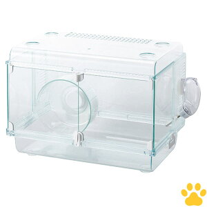 GEX@Harmony@pP[W@OXn[j[@360PlusE񂵎ԕt@@nX^[@IV@킢@Vv@NA@@360vX@360@P[W@tbgA