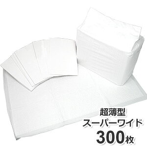 ybgV[c ^ M[ 1200 Ch 600 X[p[Ch 300 Ɩp P[X ybg  L   ybgV[g gCV[c gCV[g V[g ybgp V[