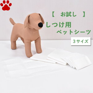 yz ybgV[c ^ p M[ 4 Ch 2 X[p[Ch 1 Tv ybg  p V[c V[g z ~  V[c V[g gC