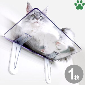 ^JYƁ@LbgXebv΍p{[h@΂{[h@؍ށ@RN[g@ǖʎt@Lp@Xebv@LbgEH[N@eX@ǁ@NA@@zCg@@@IV