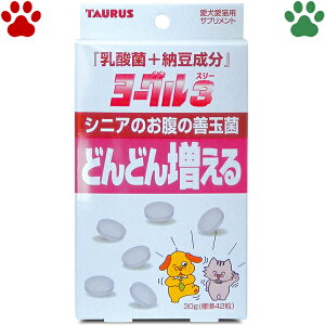 Y@g[X@[O3@30g@_+[@VjÂ̑Pʋہ@ǂǂ񑝂錢@L@Tvg@_ہ@Pʋہ@rtBYXہ@[@C\t{@h܃t