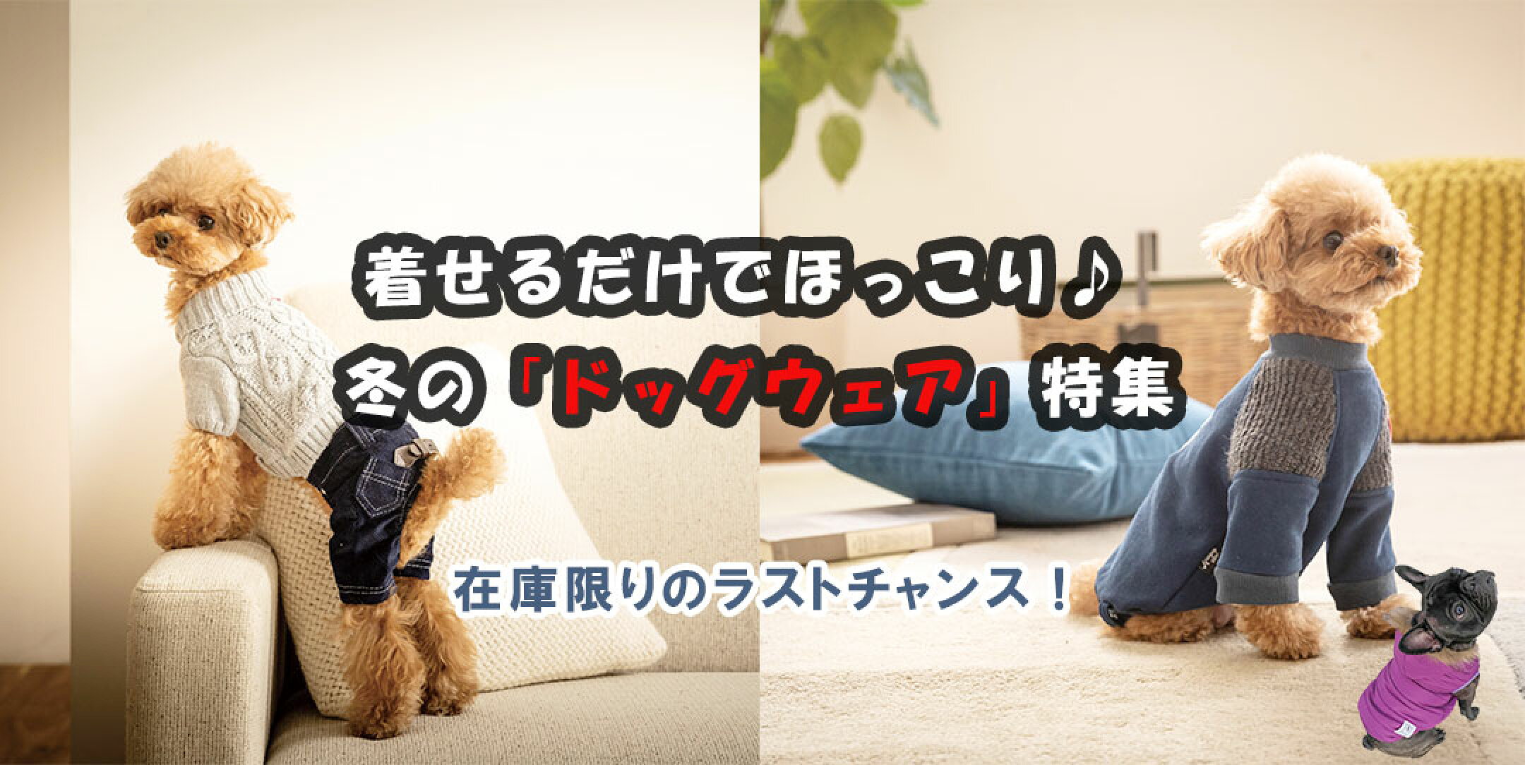 犬の服　ドッグウェア　冬服が今だけお得