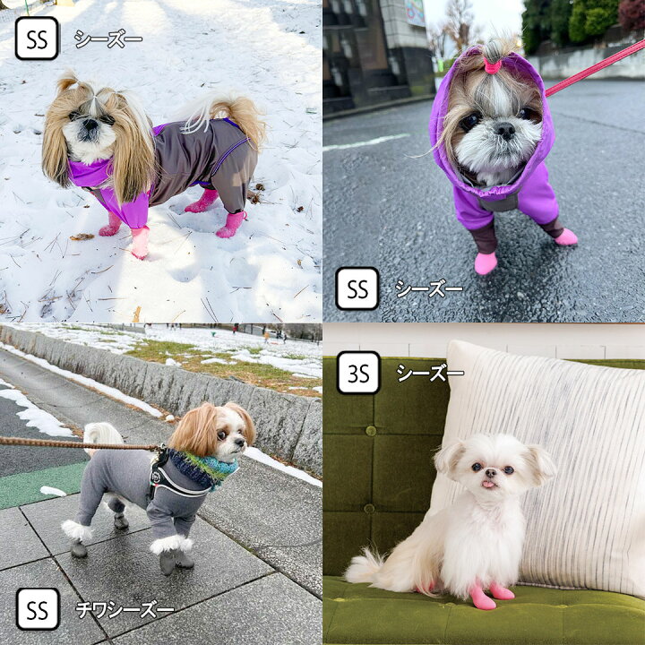 ④パウテクト SSサイズ 2セット ブル- 犬 くつ【P10倍】【年末年始価格 
