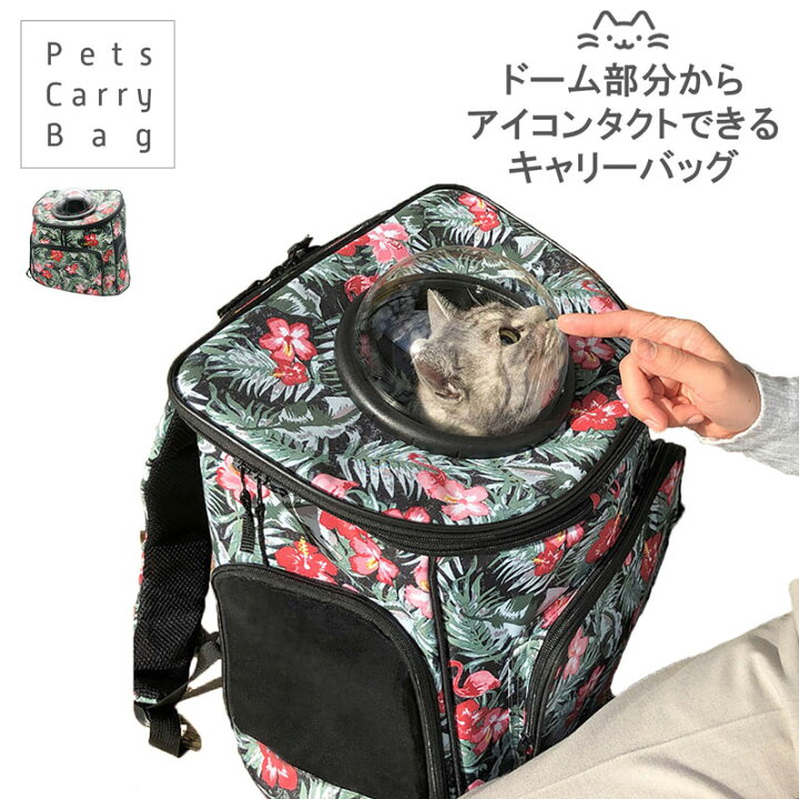 楽天市場】犬 リュック キャリーバッグ [折り畳み可能] ドーム取り外し 