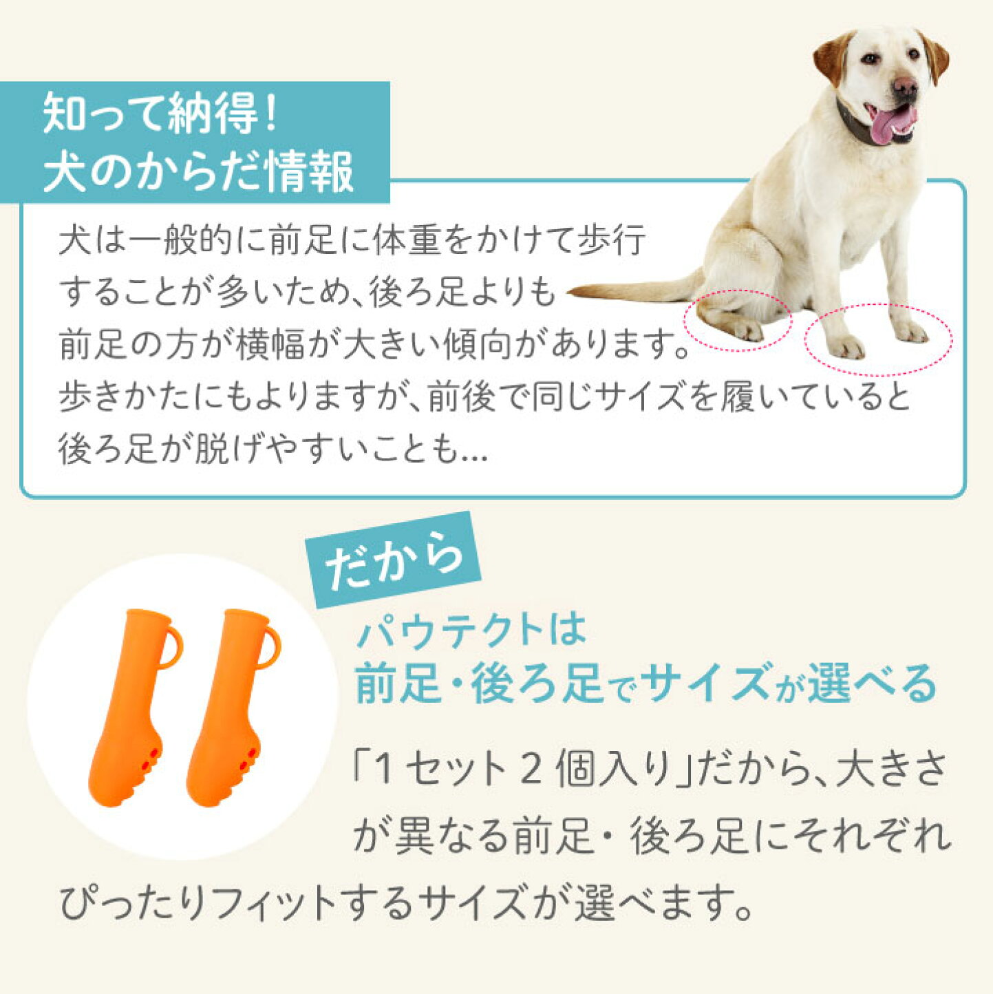 楽天市場 | PETs ADVANCE - ▽「パウテクト」のサイズ選びガイド▽