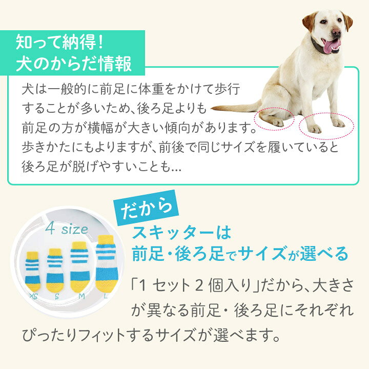 楽天市場 Docdog ドックドッグ Skitter スキッター 犬の靴下 犬用靴下 室内用 犬 靴下 ペット 滑り止め 保護 災害 防寒 怪我 介護 かわいい おしゃれ ソックス アスファルト 履かせやすい 犬靴下 デビューに シニア犬 犬用くつした Petsadvance 楽天市場 Docdog ドックドッグ Skitter スキッター 犬の靴下 犬用靴下 室内用 犬 靴下 ペット 滑り止め 保護 災害 防寒 怪我 介護 かわいい おしゃれ ソックス アスファルト 履かせやすい 犬靴下 デビューに シニア犬 犬用くつした Petsadvance
