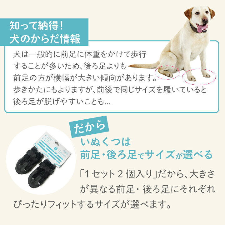 楽天市場 Docdog 犬用靴 屋外用 犬 靴 ペット 滑り止め 保護 災害 防寒 怪我 介護 かわいい おしゃれ アスファルト 履かせやすい アウトドア 登山 キャンプ Petsadvance 楽天市場 Docdog 犬用靴 屋外用 犬 靴 ペット 滑り止め 保護 災害 防寒 怪我 介護 かわいい おしゃれ アスファルト 履かせやすい アウトドア 登山 キャンプ Petsadvance