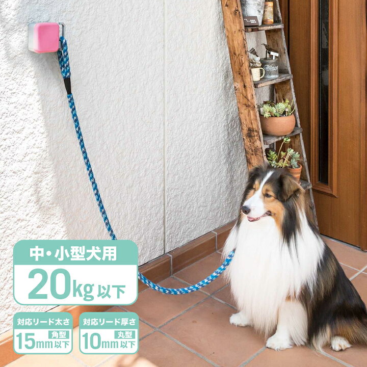 楽天市場 ペットアドバンス ドギーフック Dhシリーズ リードフック リード 小型犬 中型犬 ペット 犬のリード 固定 Diy 簡単 取付型 丸型 四角型 3色展開 Petｓadvance