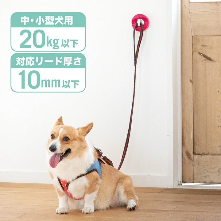 楽天市場 ペットアドバンス 回転式 リードフック ドギーフックライト 片手 簡単ロック ドッグフック リード フック リード用 中型犬 小型犬 犬 犬用 ペット かわいい オシャレ 簡単 玄関 Petｓadvance