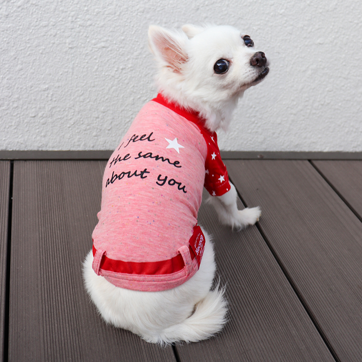 楽天市場】【ペットアドバンス】ドッグウェア 犬の服 夏用 Tシャツ