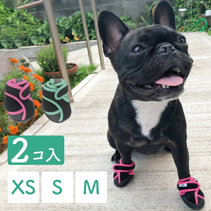 公式サイト 犬用 靴 Mサイズ