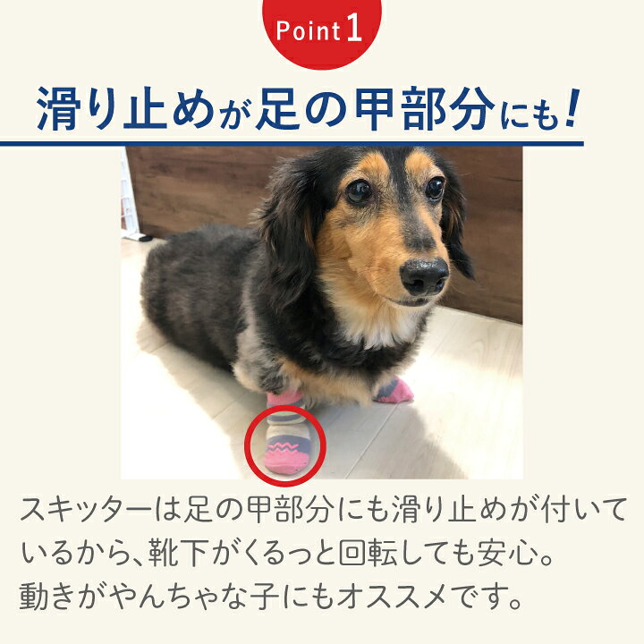 楽天市場 ペットアドバンス Skitter スキッター 犬の靴下 犬用靴下 室内用 犬 靴下 ペット 滑り止め 保護 災害 防寒 怪我 介護 かわいい おしゃれ ソックス アスファルト 履かせやすい 犬靴下 デビューに シニア犬 犬用くつした Docdog Petｓadvance