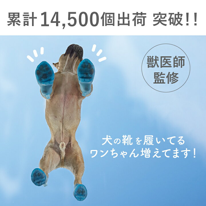 ペットアドバンス犬の靴 犬用 靴 PAWTECT パウテクト3S、SS 4個入り PAWA 通気孔タイプ 犬の靴 犬用 靴 犬の散歩 散歩 肉球 保護 夏のアスファルト 雪 シニア犬 室内OK 室外OK シューズ 肉球 散歩 傷舐め 室内 屋外 : PETsADVANCE ペットアドバンス犬の靴 犬用 靴 PAWTECT パウテクト3S、SS 4個入り PAWA 通気孔タイプ 犬の靴 犬用 靴 犬の散歩 散歩 肉球 保護 夏のアスファルト 雪 シニア犬 室内OK 室外OK シューズ 肉球 散歩 傷舐め 室内 屋外 : PETsADVANCE
