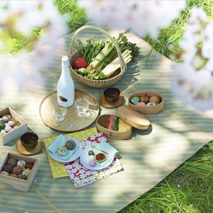 楽天市場 Picnic Rug ピクニックラグ Standard Lサイズ ピクニックシート レジャーシート 軽量 防水 おしゃれ 再生紙 エコ Crep メール便送料無料 代引き不可 Petｓadvance