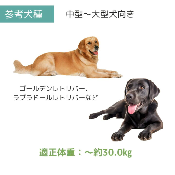 楽天市場】送料無料 ペットメイト ウルトラバリケンネル L ペット用 犬 